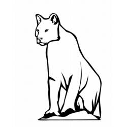 Dibujo para colorear: Leopardo (Animales) #9756 - Dibujos para Colorear e Imprimir Gratis