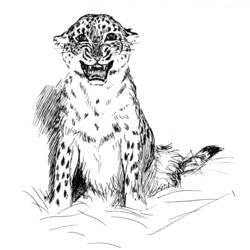 Dibujo para colorear: Leopardo (Animales) #9761 - Dibujos para Colorear e Imprimir Gratis