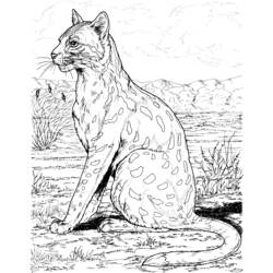 Dibujo para colorear: Leopardo (Animales) #9771 - Dibujos para Colorear e Imprimir Gratis