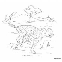 Dibujo para colorear: Leopardo (Animales) #9777 - Dibujos para Colorear e Imprimir Gratis