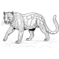 Dibujo para colorear: Leopardo (Animales) #9780 - Dibujos para Colorear e Imprimir Gratis