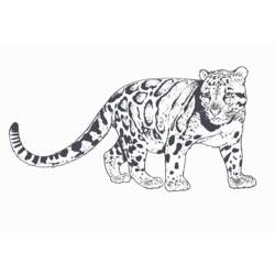 Dibujo para colorear: Leopardo (Animales) #9787 - Dibujos para Colorear e Imprimir Gratis