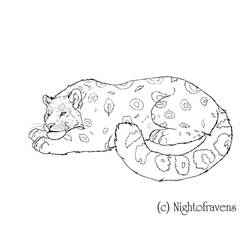 Dibujo para colorear: Leopardo (Animales) #9801 - Dibujos para Colorear e Imprimir Gratis