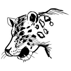 Dibujo para colorear: Leopardo (Animales) #9807 - Dibujos para Colorear e Imprimir Gratis