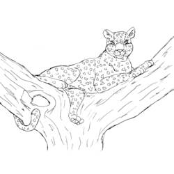 Dibujo para colorear: Leopardo (Animales) #9810 - Dibujos para Colorear e Imprimir Gratis
