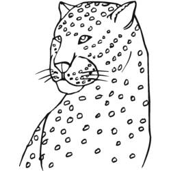 Dibujo para colorear: Leopardo (Animales) #9814 - Dibujos para Colorear e Imprimir Gratis