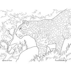 Dibujo para colorear: Leopardo (Animales) #9821 - Dibujos para Colorear e Imprimir Gratis