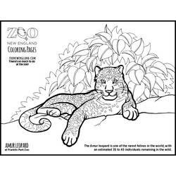 Dibujo para colorear: Leopardo (Animales) #9834 - Dibujos para Colorear e Imprimir Gratis