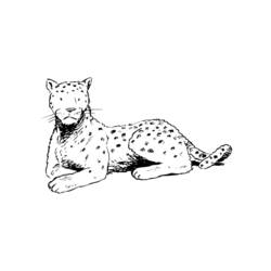 Dibujo para colorear: Leopardo (Animales) #9835 - Dibujos para Colorear e Imprimir Gratis