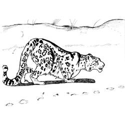 Dibujo para colorear: Leopardo (Animales) #9836 - Dibujos para Colorear e Imprimir Gratis