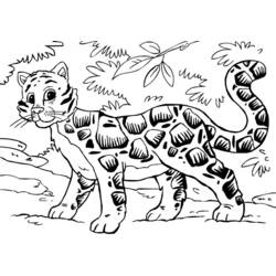 Dibujo para colorear: Leopardo (Animales) #9849 - Dibujos para Colorear e Imprimir Gratis