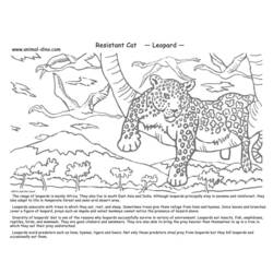 Dibujo para colorear: Leopardo (Animales) #9858 - Dibujos para Colorear e Imprimir Gratis