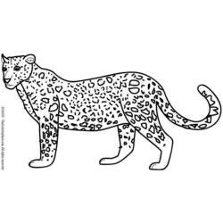 Dibujo para colorear: Leopardo (Animales) #9869 - Dibujos para Colorear e Imprimir Gratis