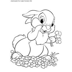 Dibujo para colorear: Liebre (Animales) #10126 - Dibujos para Colorear e Imprimir Gratis