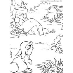 Dibujo para colorear: Liebre (Animales) #10133 - Dibujos para Colorear e Imprimir Gratis