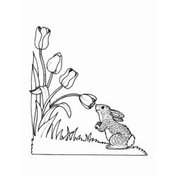 Dibujo para colorear: Liebre (Animales) #10138 - Dibujos para Colorear e Imprimir Gratis