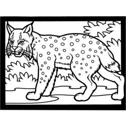 Dibujo para colorear: Lince (Animales) #10810 - Dibujos para Colorear e Imprimir Gratis