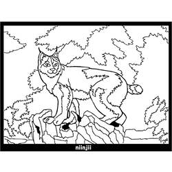 Dibujo para colorear: Lince (Animales) #10814 - Dibujos para Colorear e Imprimir Gratis