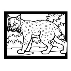 Dibujo para colorear: Lince (Animales) #10851 - Dibujos para Colorear e Imprimir Gratis