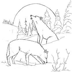 Dibujo para colorear: Lobo (Animales) #10439 - Dibujos para Colorear e Imprimir Gratis
