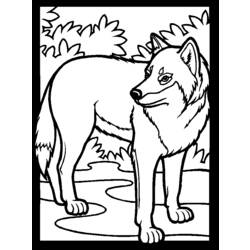 Dibujo para colorear: Lobo (Animales) #10440 - Dibujos para Colorear e Imprimir Gratis