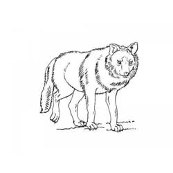 Dibujo para colorear: Lobo (Animales) #10501 - Dibujos para Colorear e Imprimir Gratis