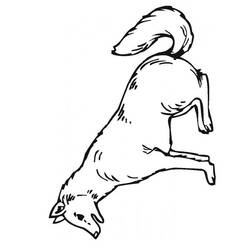 Dibujo para colorear: Lobo (Animales) #10508 - Dibujos para Colorear e Imprimir Gratis