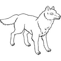 Dibujo para colorear: Lobo (Animales) #10600 - Dibujos para Colorear e Imprimir Gratis