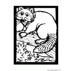 Dibujo para colorear: Mapache (Animales) #19994 - Dibujos para Colorear e Imprimir Gratis