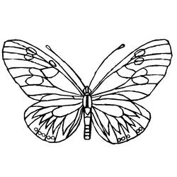 Dibujo para colorear: Mariposa (Animales) #15745 - Dibujos para Colorear e Imprimir Gratis