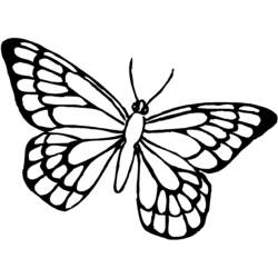 Dibujo para colorear: Mariposa (Animales) #15768 - Dibujos para Colorear e Imprimir Gratis