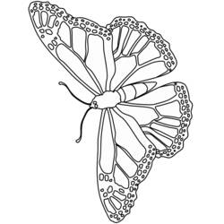 Dibujo para colorear: Mariposa (Animales) #15773 - Dibujos para Colorear e Imprimir Gratis