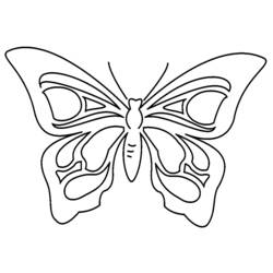 Dibujo para colorear: Mariposa (Animales) #15850 - Dibujos para Colorear e Imprimir Gratis