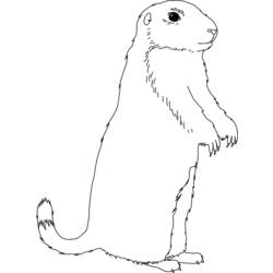 Dibujo para colorear: Marmota (Animales) #10889 - Dibujos para Colorear e Imprimir Gratis