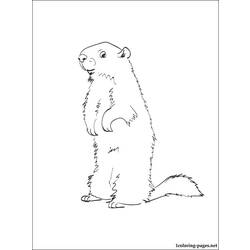 Dibujo para colorear: Marmota (Animales) #10953 - Dibujos para Colorear e Imprimir Gratis