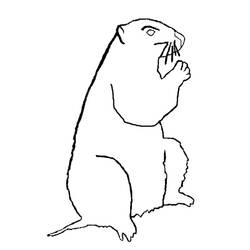 Dibujo para colorear: Marmota (Animales) #10960 - Dibujos para Colorear e Imprimir Gratis