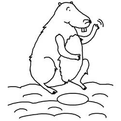 Dibujo para colorear: Marmota (Animales) #10968 - Dibujos para Colorear e Imprimir Gratis