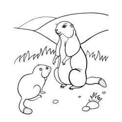 Dibujo para colorear: Marmota (Animales) #10990 - Dibujos para Colorear e Imprimir Gratis