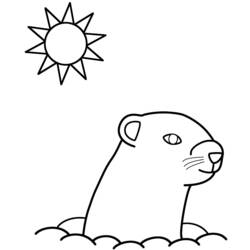Dibujo para colorear: Marmota (Animales) #10997 - Dibujos para Colorear e Imprimir Gratis