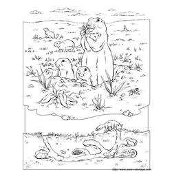 Dibujo para colorear: Marmota (Animales) #11051 - Dibujos para Colorear e Imprimir Gratis