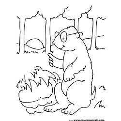 Dibujo para colorear: Marmota (Animales) #11057 - Dibujos para Colorear e Imprimir Gratis