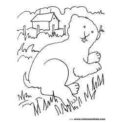 Dibujo para colorear: Marmota (Animales) #11065 - Dibujos para Colorear e Imprimir Gratis
