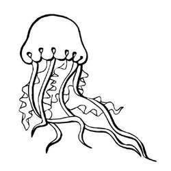 Dibujo para colorear: Medusa (Animales) #20381 - Dibujos para Colorear e Imprimir Gratis