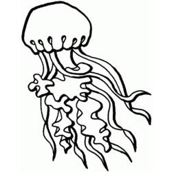Dibujo para colorear: Medusa (Animales) #20390 - Dibujos para Colorear e Imprimir Gratis