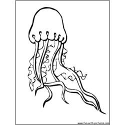 Dibujo para colorear: Medusa (Animales) #20394 - Dibujos para Colorear e Imprimir Gratis