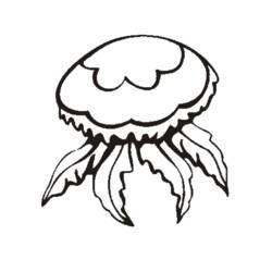 Dibujo para colorear: Medusa (Animales) #20402 - Dibujos para Colorear e Imprimir Gratis