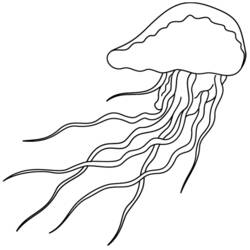 Dibujo para colorear: Medusa (Animales) #20406 - Dibujos para Colorear e Imprimir Gratis