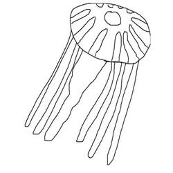 Dibujo para colorear: Medusa (Animales) #20409 - Dibujos para Colorear e Imprimir Gratis