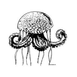 Dibujo para colorear: Medusa (Animales) #20435 - Dibujos para Colorear e Imprimir Gratis