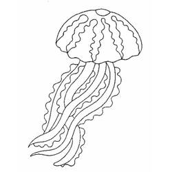 Dibujo para colorear: Medusa (Animales) #20489 - Dibujos para Colorear e Imprimir Gratis